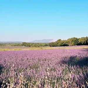 Bed & Breakfast Maison Francoise, Aix-en-Provence